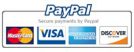 PayPal payments logo